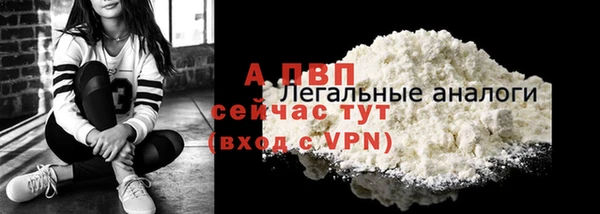 индика Козельск